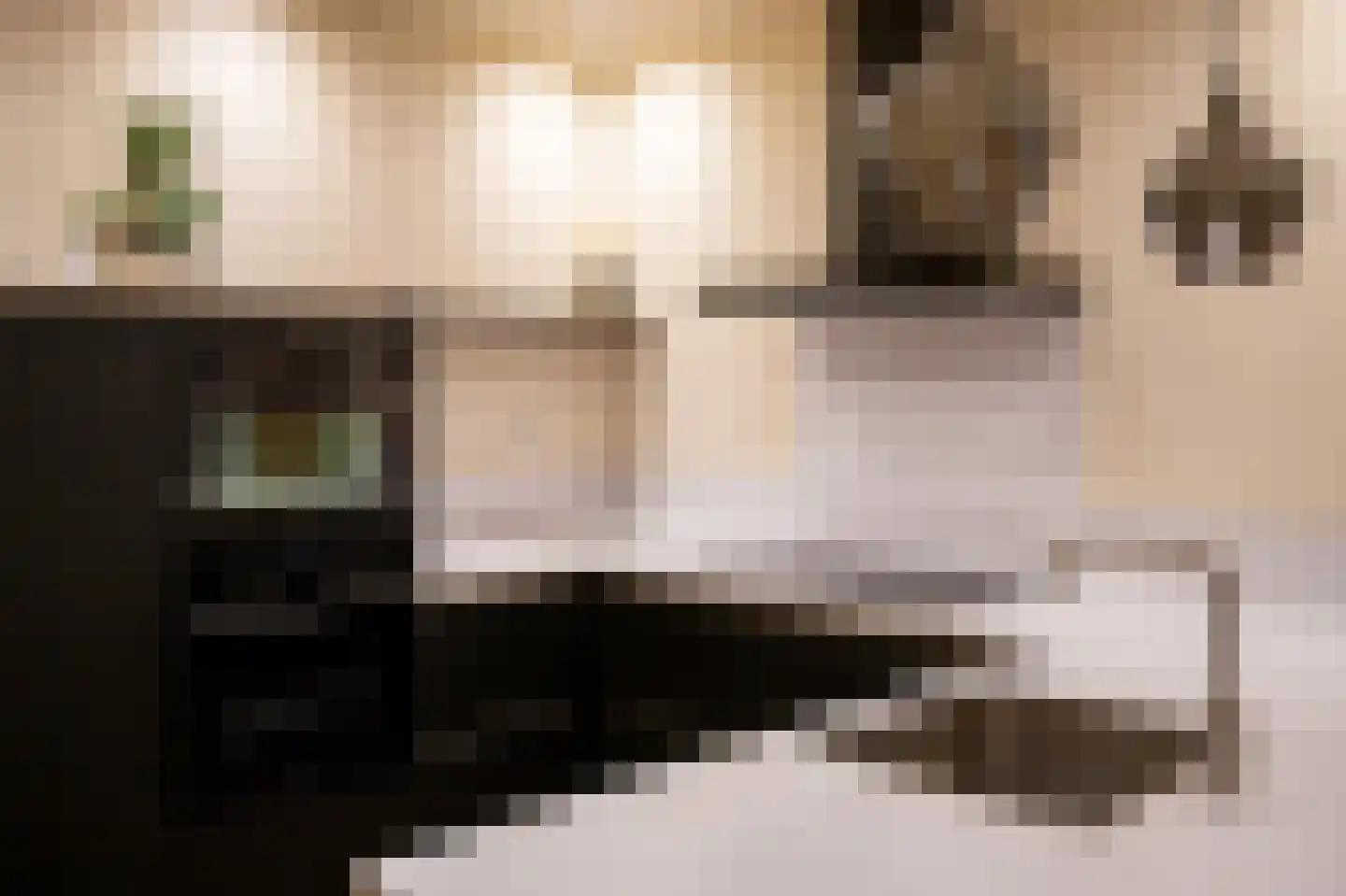 De Briasweg 3 Baexem thumbnail 10