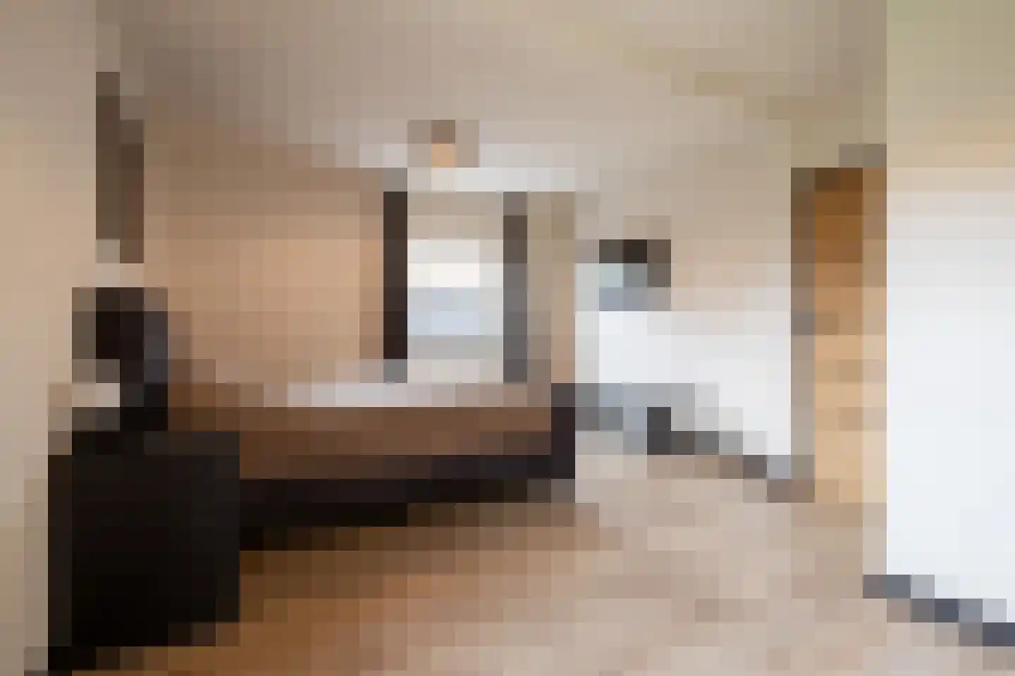 De Briasweg 3 Baexem thumbnail 21
