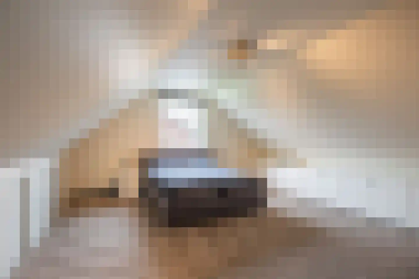 De Briasweg 3 Baexem thumbnail 31
