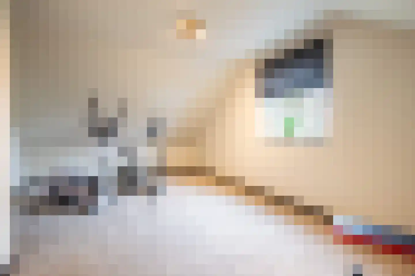 De Briasweg 3 Baexem thumbnail 32