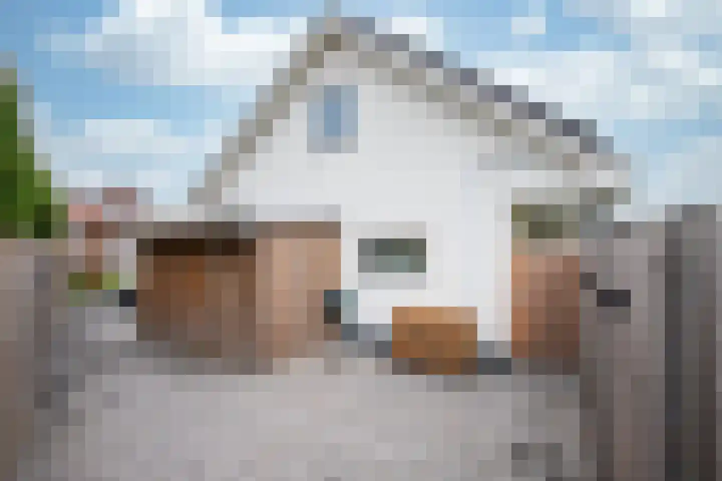 De Briasweg 3 Baexem thumbnail 40