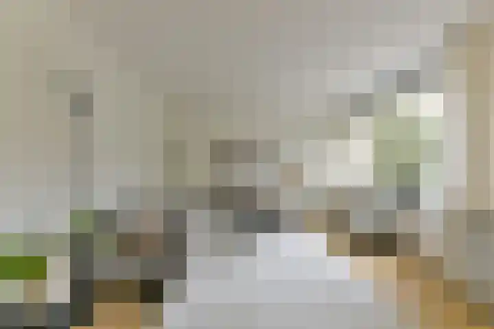 De Brik 11 Soesterberg thumbnail 12
