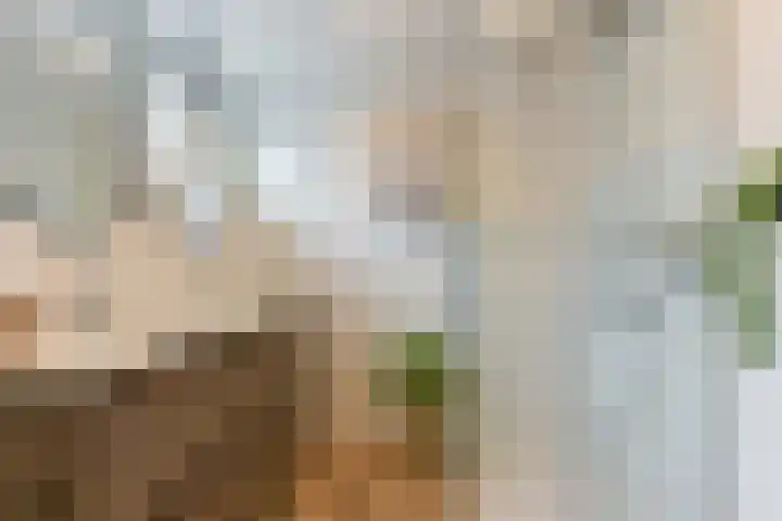 De Brik 11 Soesterberg foto 2