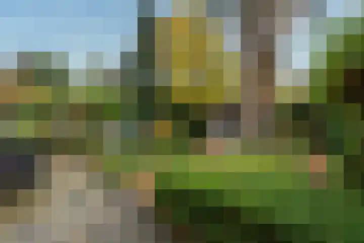 De Brik 11 Soesterberg thumbnail 26