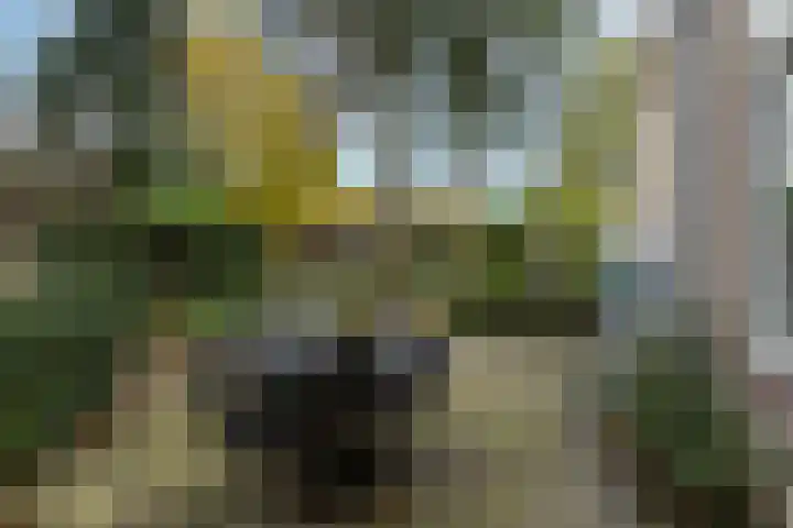 De Brik 11 Soesterberg thumbnail 28