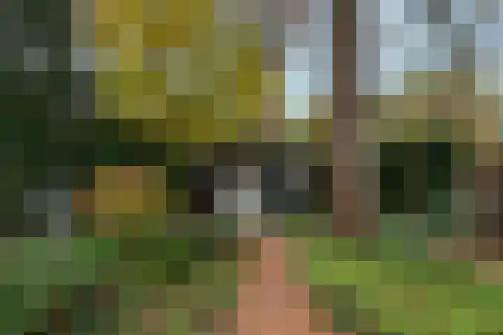 De Brik 11 Soesterberg thumbnail 29