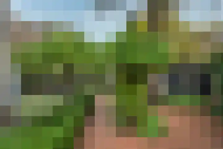 De Brik 11 Soesterberg thumbnail 36