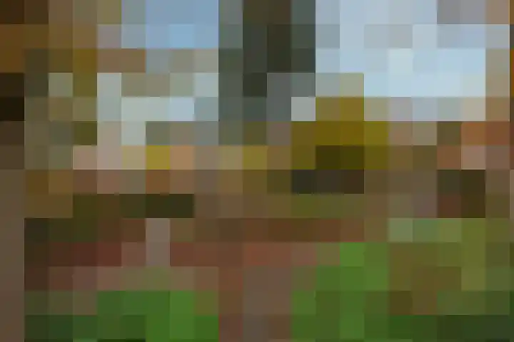 De Brik 11 Soesterberg thumbnail 38