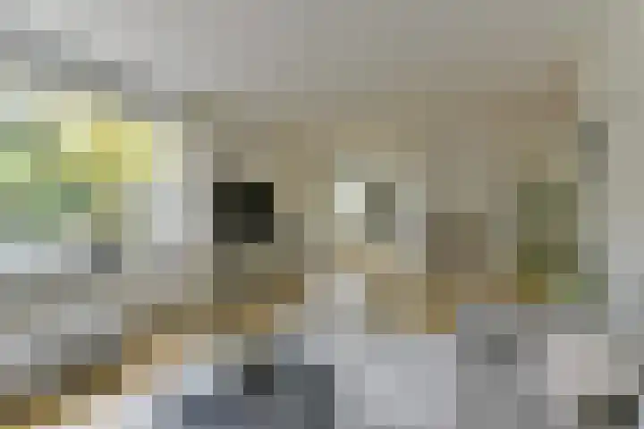 De Brik 11 Soesterberg thumbnail 4