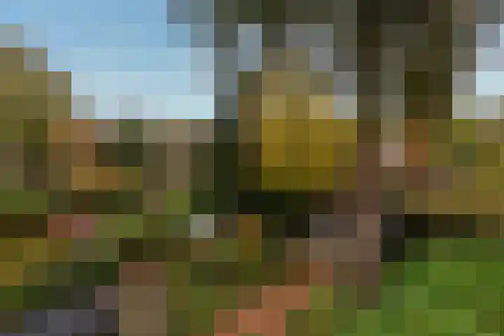 De Brik 11 Soesterberg thumbnail 48