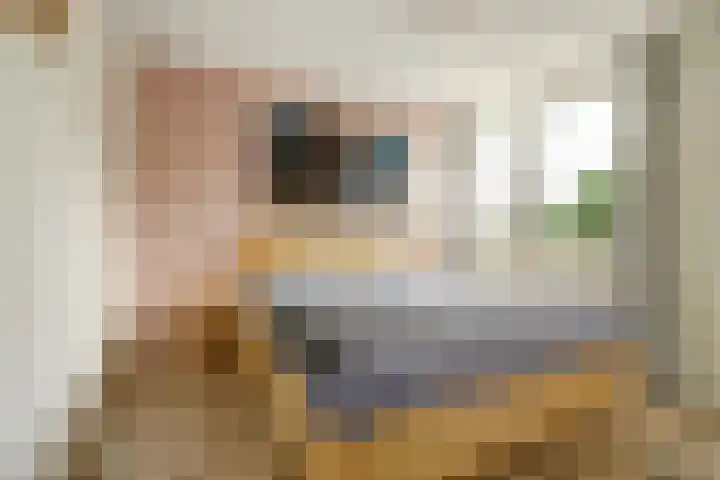 de Brik 17 Baarn thumbnail 13