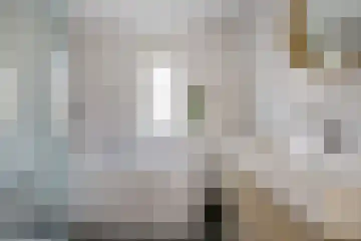 de Brik 17 Baarn thumbnail 16