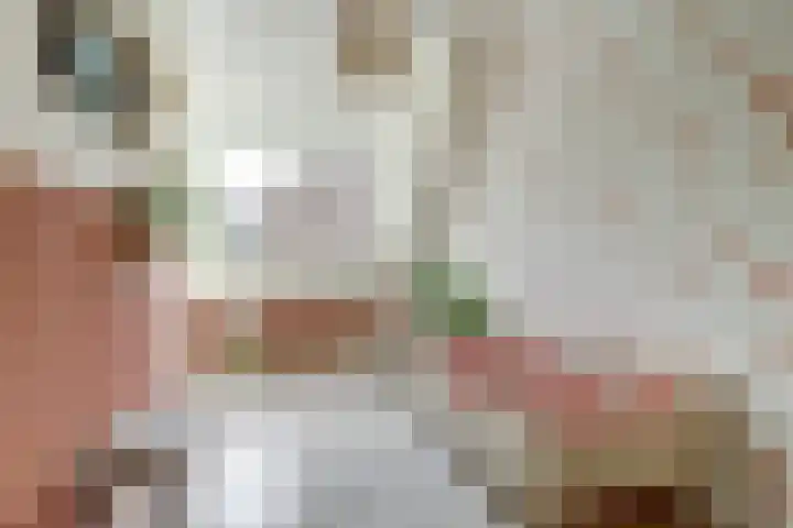 de Brik 17 Baarn thumbnail 20
