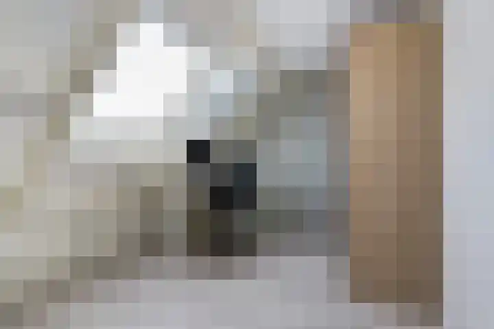 de Brik 17 Baarn thumbnail 24