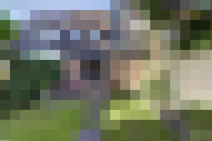 de Brik 17 Baarn thumbnail 27