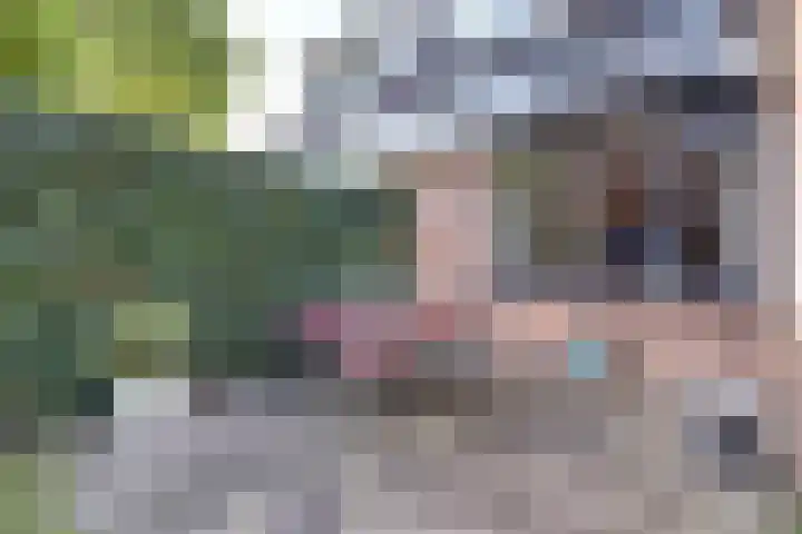 de Brik 17 Baarn thumbnail 28