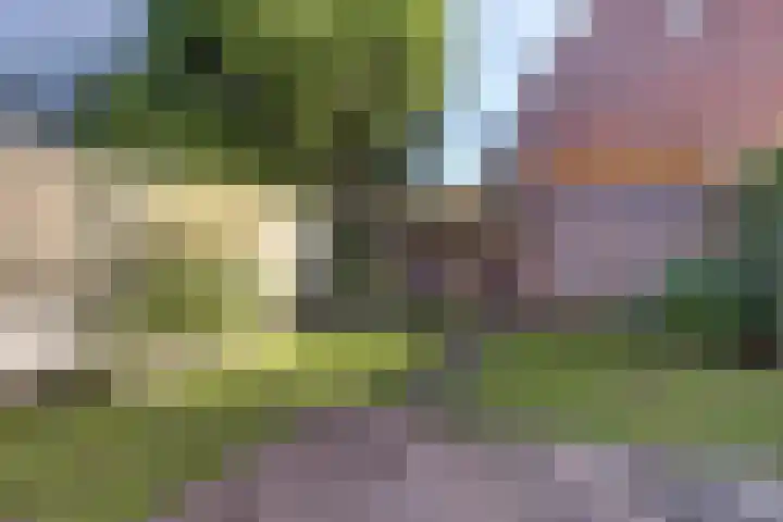 de Brik 17 Baarn thumbnail 29