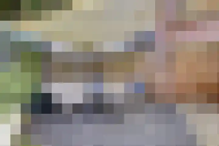 de Brik 17 Baarn thumbnail 30