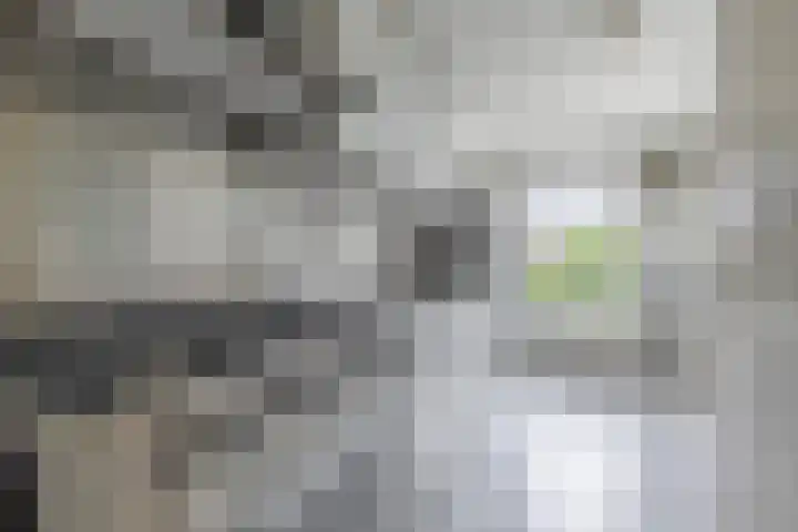 De Brink 12 Castricum thumbnail 24