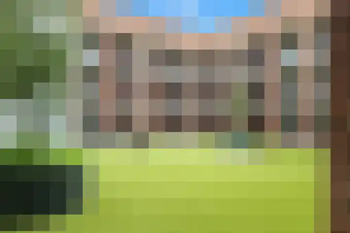 De Brink 12 Castricum thumbnail 26