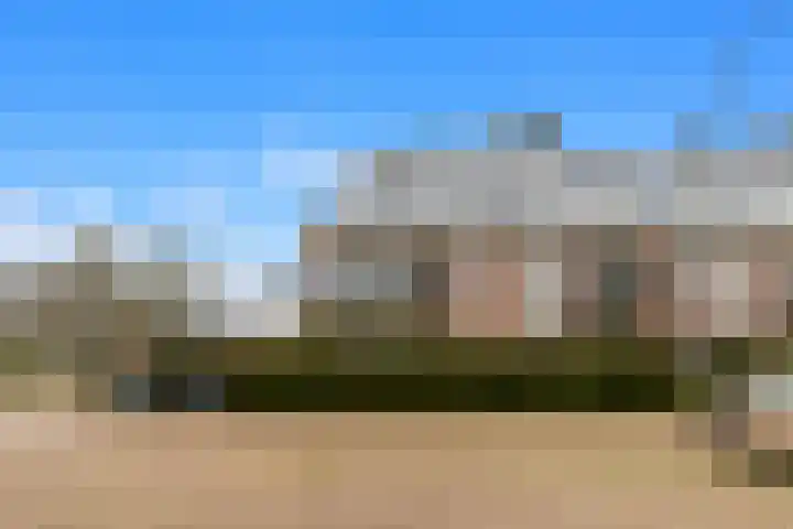 De Brink 12 Castricum thumbnail 29