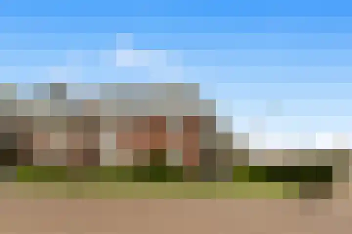 De Brink 12 Castricum thumbnail 31