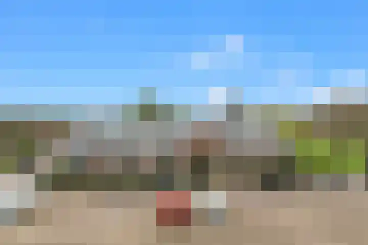 De Brink 12 Castricum thumbnail 32