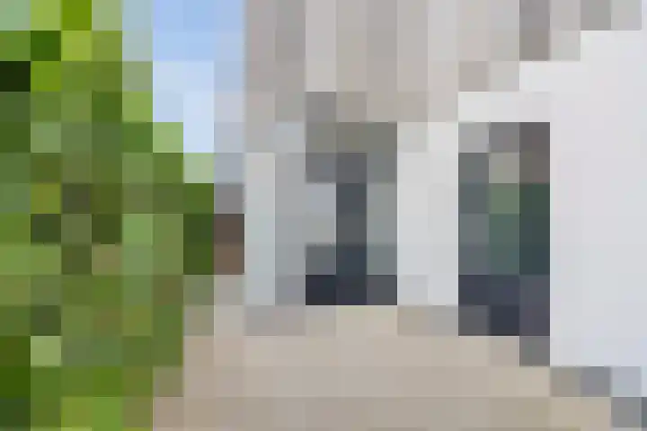 De Brink 12 Castricum thumbnail 37