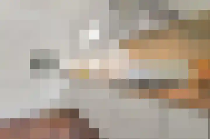 De Brink 122 Den Haag thumbnail 14