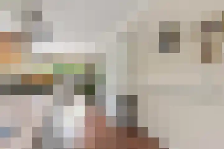 De Brink 122 Den Haag thumbnail 15