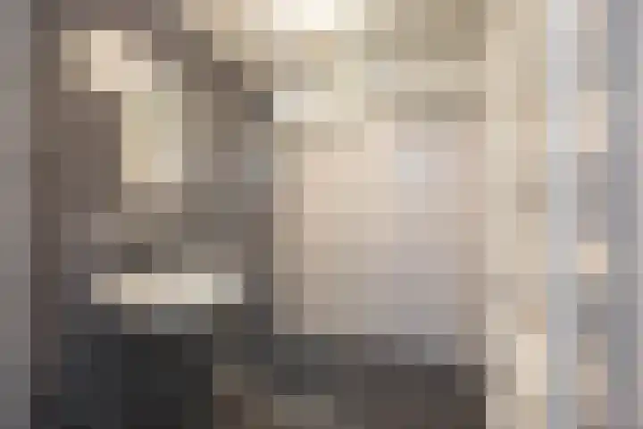 De Brink 140 Groningen thumbnail 17