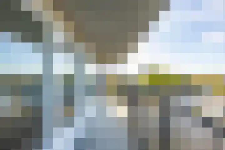 De Brink 140 Groningen thumbnail 29