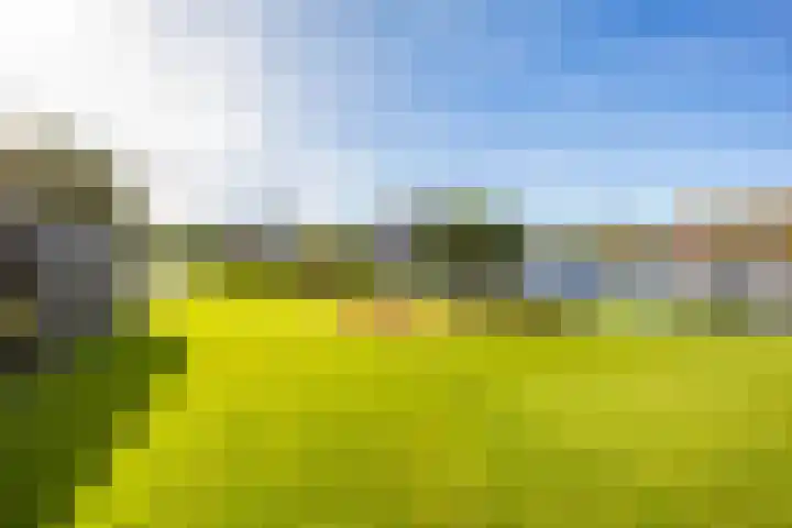 De Brink 140 Groningen thumbnail 32