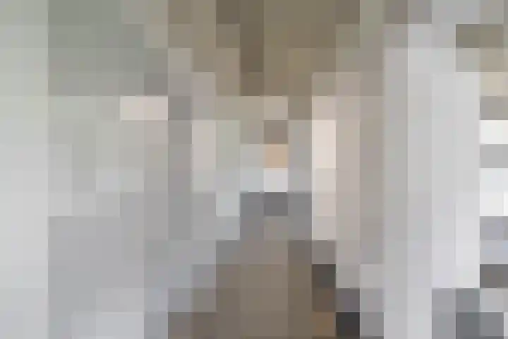 De Brink 156 Groningen thumbnail 10