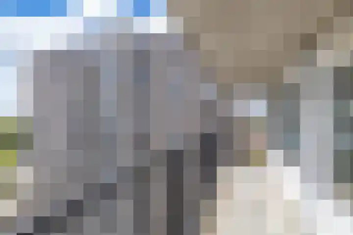 De Brink 170 Groningen thumbnail 11