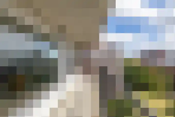 De Brink 170 Groningen thumbnail 12