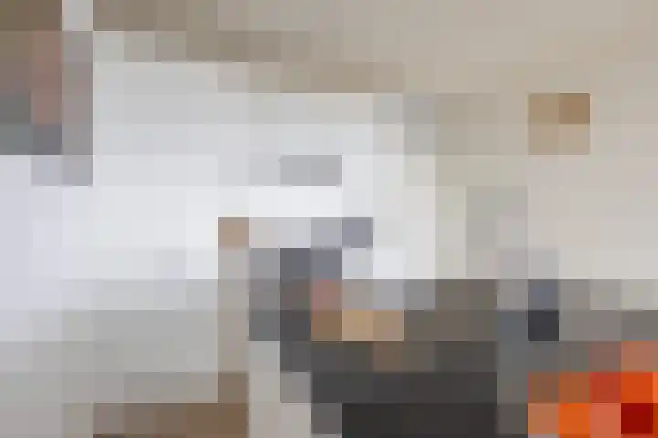 De Brink 178 Groningen thumbnail 15