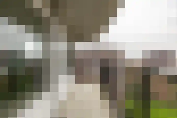 De Brink 178 Groningen thumbnail 25