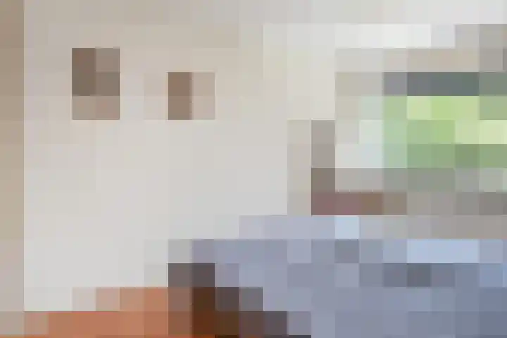 De Brink 214 Den Haag thumbnail 15
