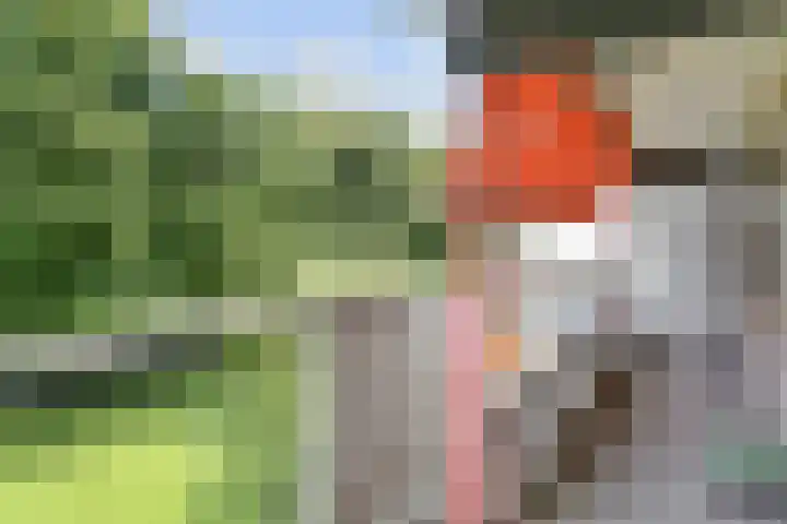De Brink 214 Den Haag thumbnail 31