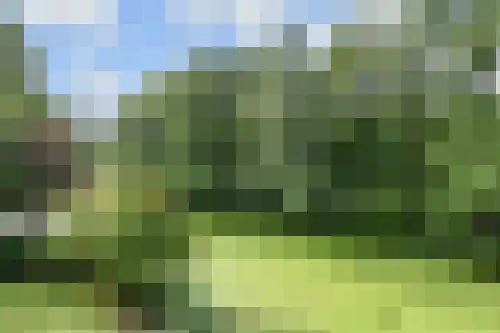 De Brink 214 Den Haag thumbnail 32