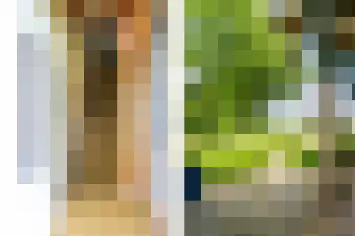 De Brink 24 Drijber thumbnail 18
