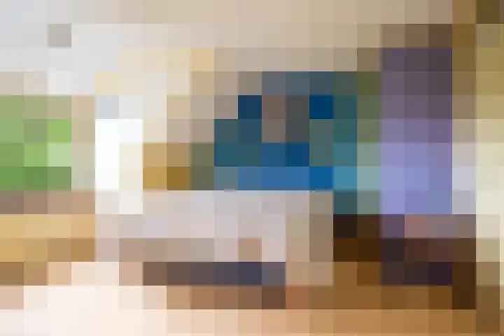 De Brink 24 Drijber thumbnail 20