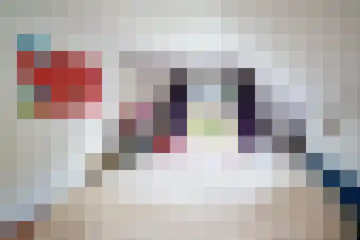 De Brink 24 Drijber thumbnail 21