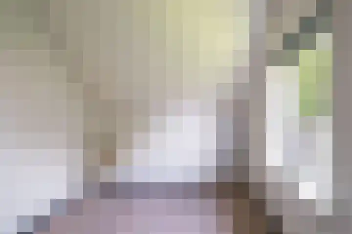 De Brink 24 Drijber thumbnail 22