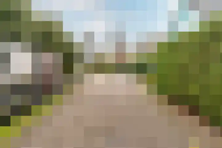 De Brink 24 Drijber thumbnail 23