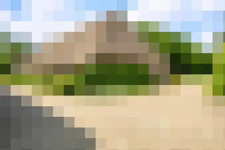 De Brink 24 Drijber thumbnail 24