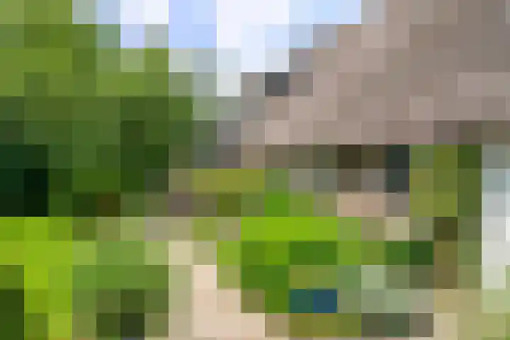 De Brink 24 Drijber thumbnail 26