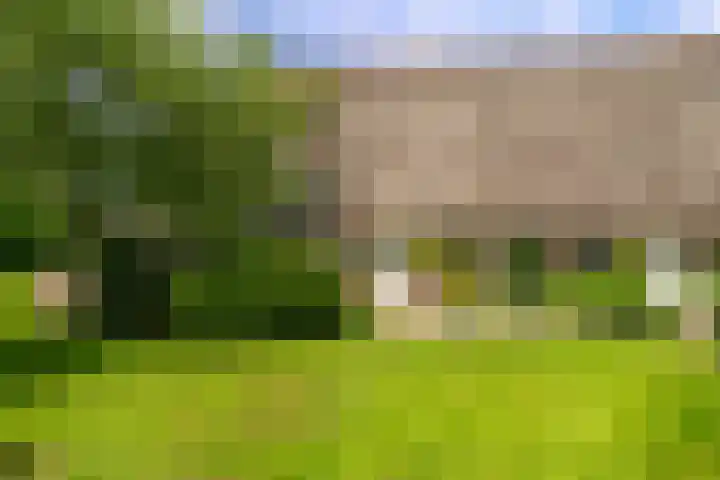 De Brink 24 Drijber thumbnail 31
