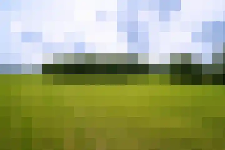 De Brink 24 Drijber thumbnail 32